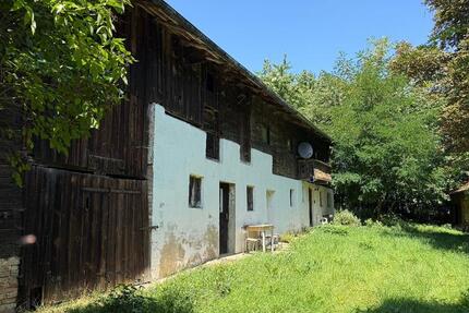 Einfirsthof mit Potenzial und altem Baumbestand – Nähe Dingolfing