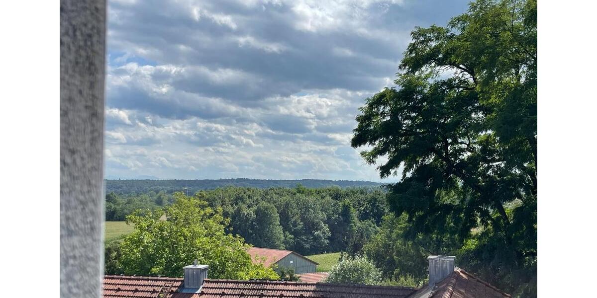 Einfamilienhaus München Altstadt-Lehel - 12 Zimmer, 650 m&sup2;, 1.750.000&euro; | Angebot:24256776