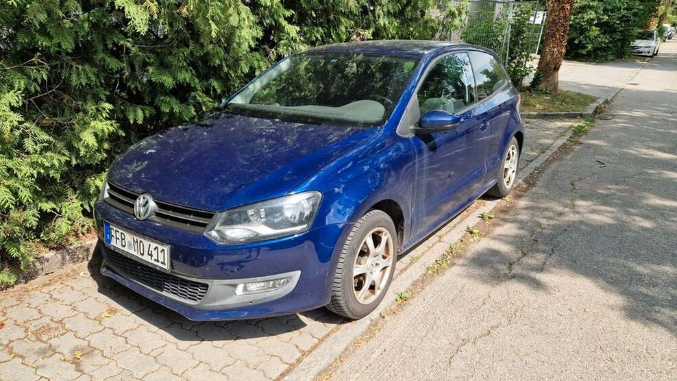 Polo