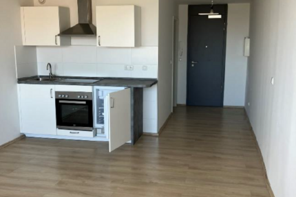 Wohnung München Haidhausen - 1 Zimmer, 30 m&sup2;, 965&euro; | Angebot:26931775