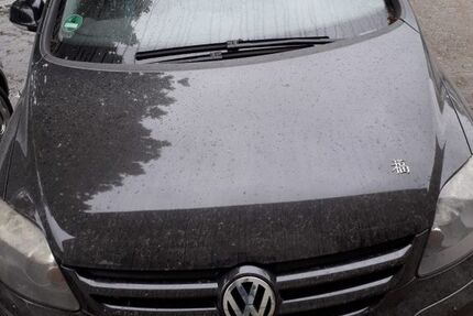 VW Golf Plus