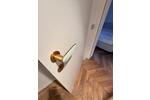Etagenwohnung München Am Riesenfeld - 1 Zimmer, 16 m&sup2;, 850&euro; | Angebot:26544496