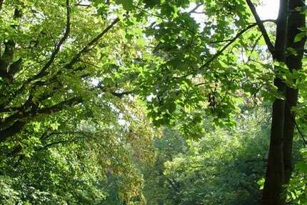 Wohnung zum Kaufen in Gräfelfing 745.000 € 73.87 m² 3 zimmer