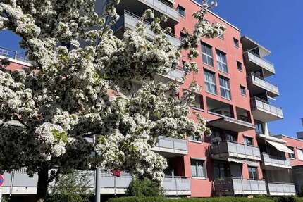 Wohnung München Am Hart - 2 Zimmer, 49 m&sup2;, 390.000&euro; | Angebot:26308506