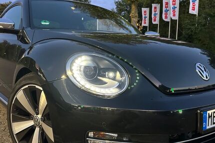 VW Beetle 238.500 km 9.200 &euro; Vaterstetten 85591