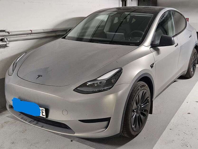 Model Y