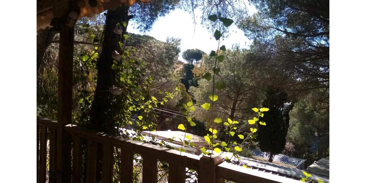 Einfamilienhaus München Am Hart - 2 Zimmer, 40 m&sup2;, 39.000&euro; | Angebot:25510300