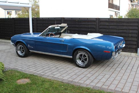 Mustang