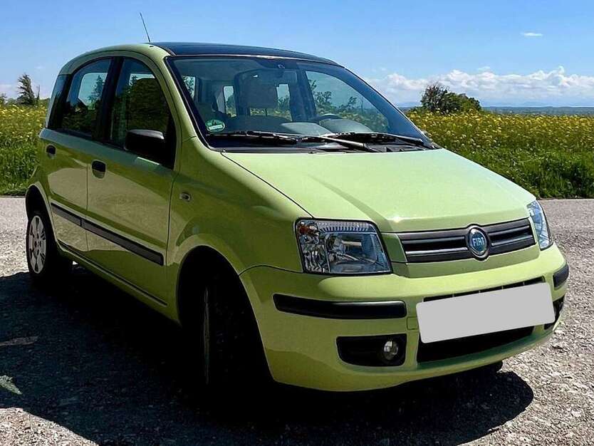 Panda