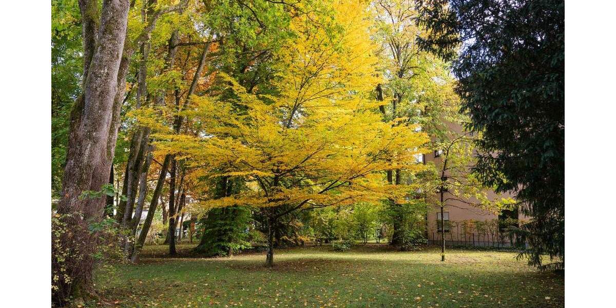 Etagenwohnung Ottobrunn - 2 Zimmer, 54 m&sup2;, 380.000&euro; | Angebot:25771367