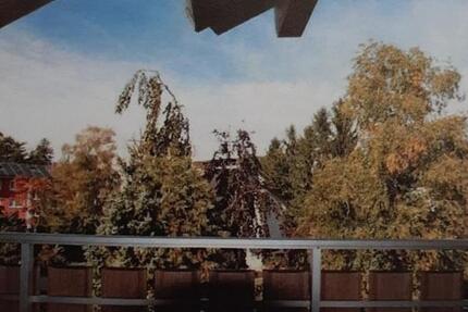 2 Zimmer Wohnung (DG) in 3 Parteien Haus, inkl 236 qm GruBo 2 zimmer