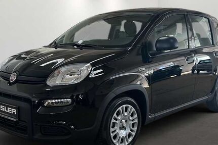 Fiat Panda 4.500 km 14.300 &euro; Feldkirchen 85622