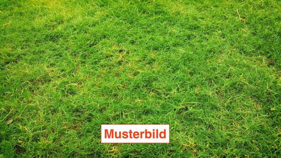 Grundstück zu verkaufen in Dachau 729.000 € 335 m²
