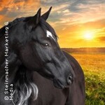 Ostwind - Live | Premiere