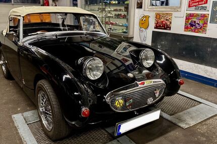Austin Healey Andere 69.806 km 21.500 &euro; Bergkirchen 85232