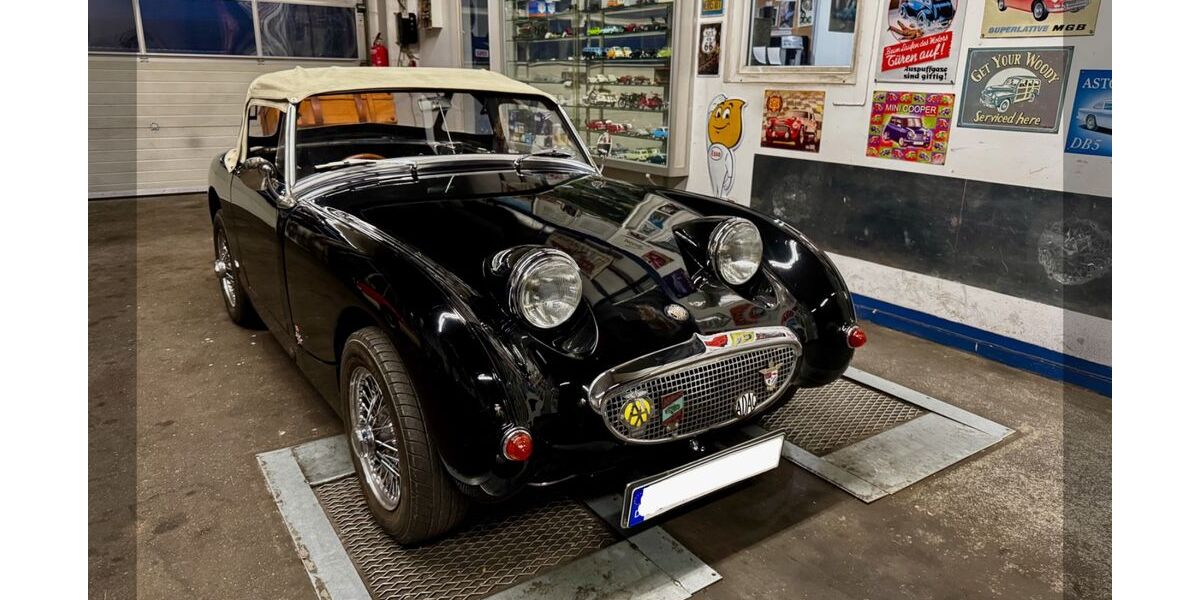 Austin Healey Andere 69.806 km 21.500 &euro; Bergkirchen 85232