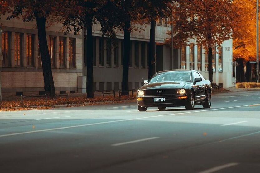 Mustang