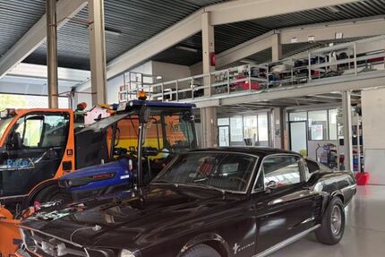 Ford Mustang 80.000 km 65.000 &euro; Ottobrunn 85521