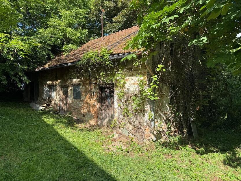 Einfirsthof mit Potenzial und altem Baumbestand – Nähe Dingolfing