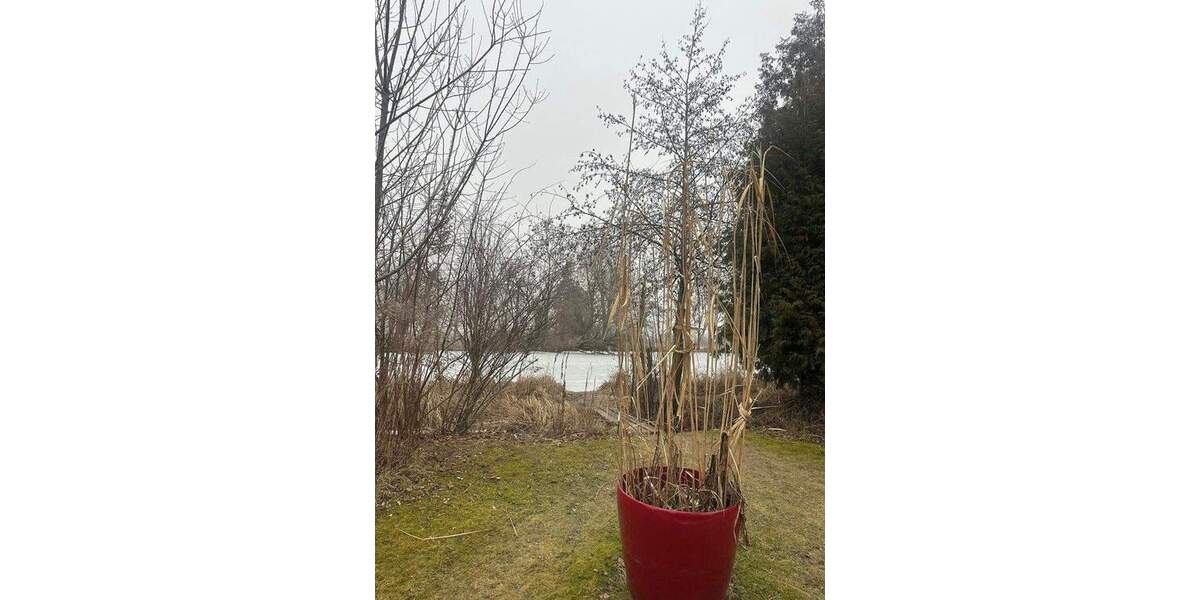 Reihenmittelhaus Oberschleißheim - 4 Zimmer, 150 m&sup2;, 2.490&euro; | Angebot:25782546