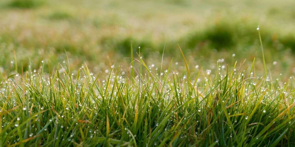 Grundstück zu verkaufen in München 2.400.000 € 887 m² zimmer