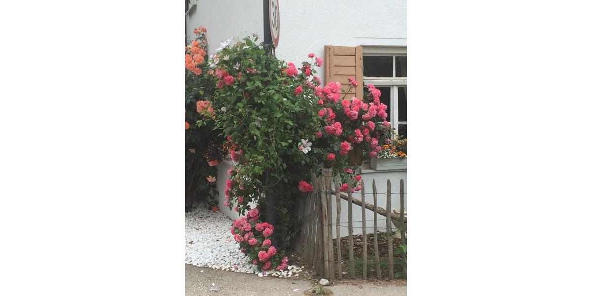 Erdgeschoßwohnung Starnberg - 4 Zimmer, 160 m&sup2;, 998.000&euro; | Angebot:26065706