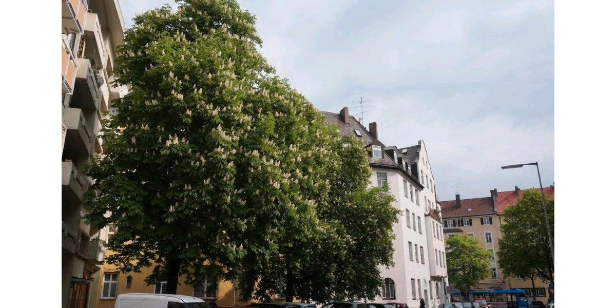 Etagenwohnung München Au-Haidhausen - 1 Zimmer, 25 m&sup2;, 255.000&euro; | Angebot:25918921