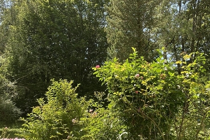 3-Zimmer-Wohnung direkt am Forstenrieder Park