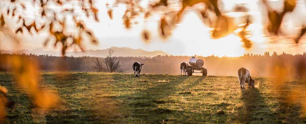 Grundstück zu verkaufen in Holzkirchen 690.000 € 605 m²