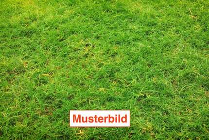 Grundstück München Trudering-Riem - 1.355.000&euro; | Angebot:25268304