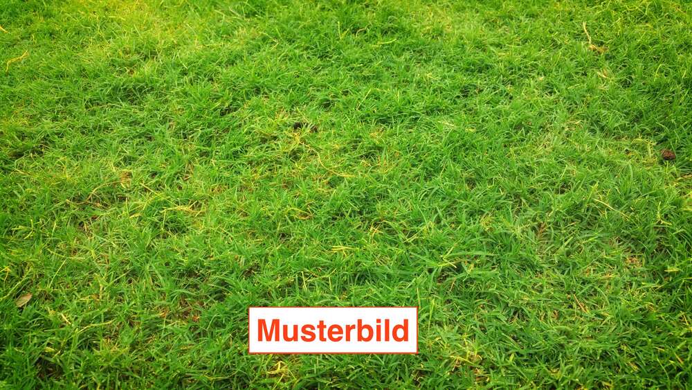 Grundstück München Trudering-Riem - 1.355.000&euro; | Angebot:25268304