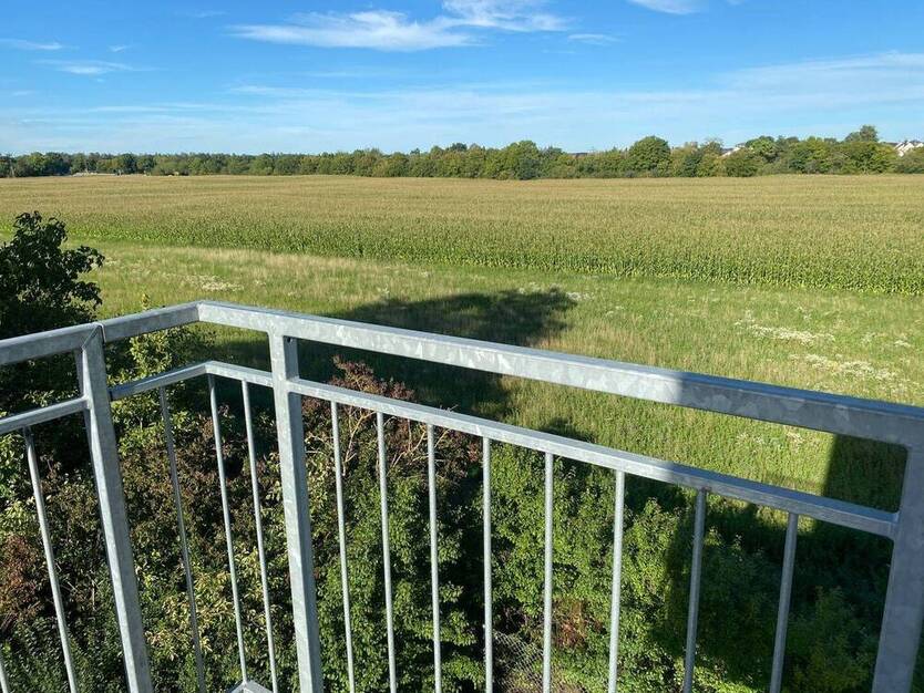 „ Das könnte schon bald ihr neues Zuhause sein „