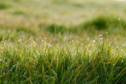 AIGNER - Attraktives Grundstück in gefragter Lage für DHH EFH zimmer