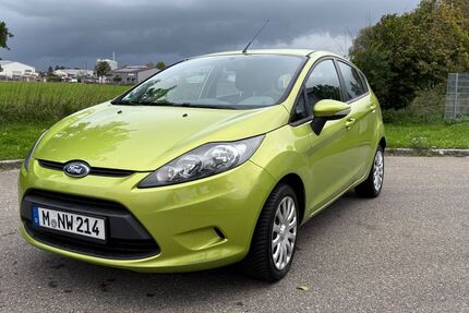 Ford Fiesta 119.000 km 4.500 € Petershausen 85238