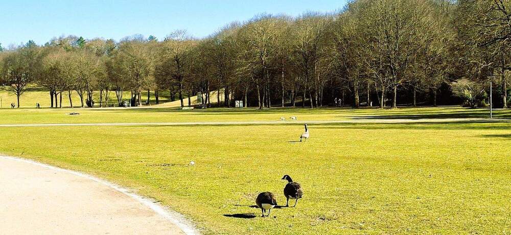 Etagenwohnung München Laim - 3 Zimmer, 79 m&sup2;, 569.000&euro; | Angebot:25716378