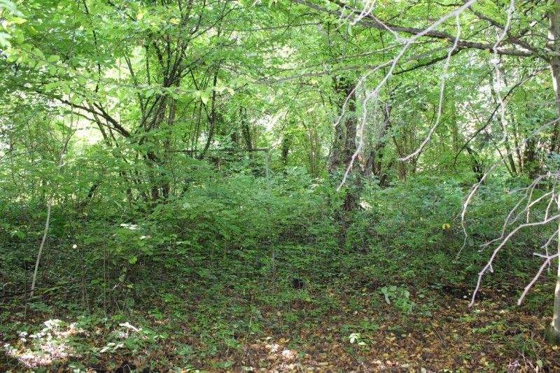 Doppelhaushälfte München Thalk.Obersendl.-Forsten-Fürstenr.-Solln - 7 Zimmer, 192 m&sup2;, 1.495.000&euro; | Angebot:25662345