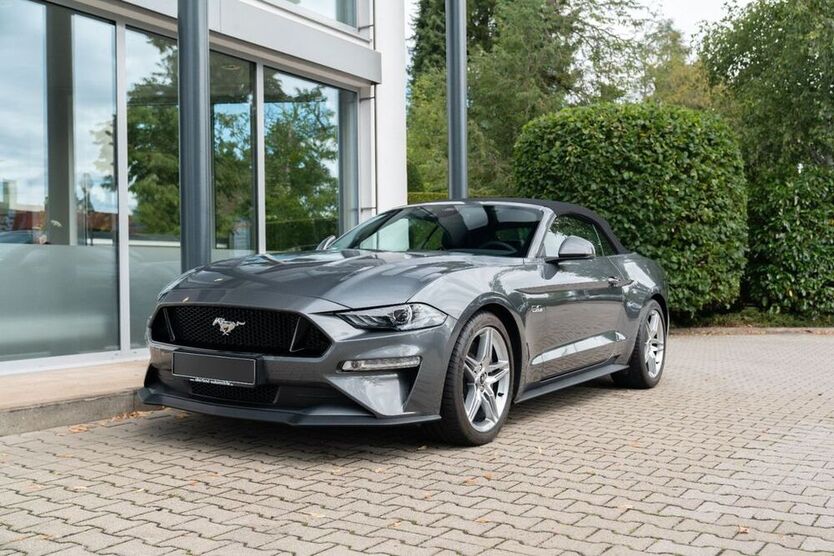 Mustang