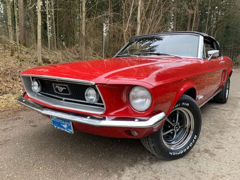 Mustang