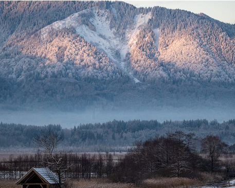 Provisionsfrei* Wohnen & Arbeiten München - Garmisch-Partenkirchen zimmer