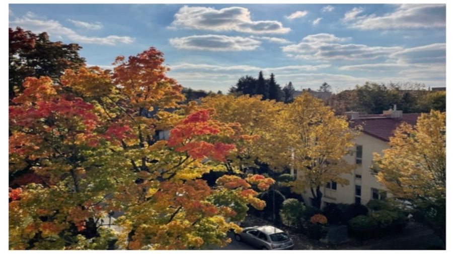 Zimmer in Wohngemeinschaft zu vermieten Room in shared flat for rent - Etagenwohnung München Berg am Laim | Angebot:25725279