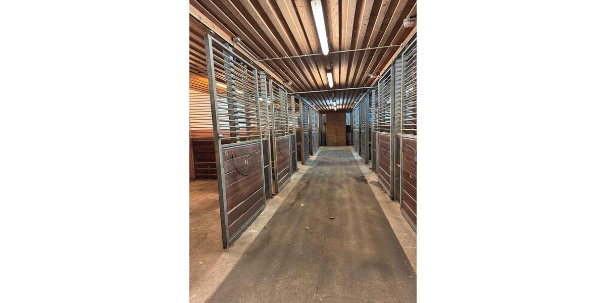 Gewerbeobjekt Grünwald - 3.000&euro; | Angebot:26408440