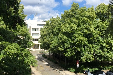 Großzügige Dreizimmer-Wohnung in ruhiger Lage Maxvorstadt - Wohnung München Ackermannbogen | Angebot:27091083