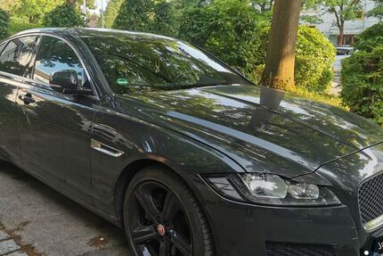 Jaguar XF 116.000 km 20.500 &euro; München 81375
