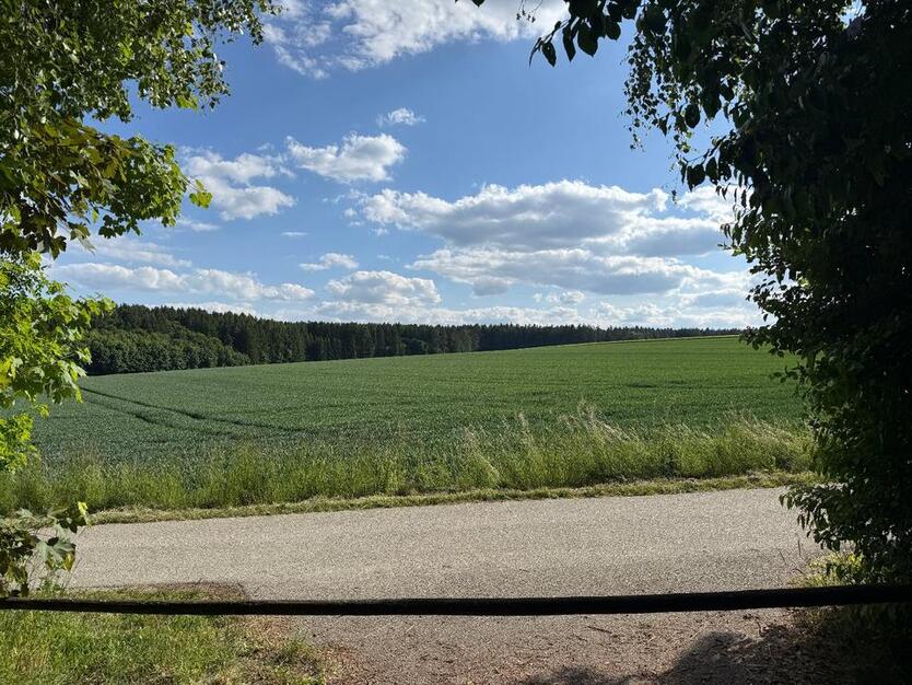 Einfirsthof mit Potenzial und altem Baumbestand – Nähe Dingolfing