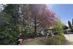 ***Attraktives MFH mit 12 Einheiten - bereits aufgeteilt - in gefragter Münchner Wohnlage*** - Mehrfamilienhaus, Wohnhaus München Bogenhausen | Angebot:26545872