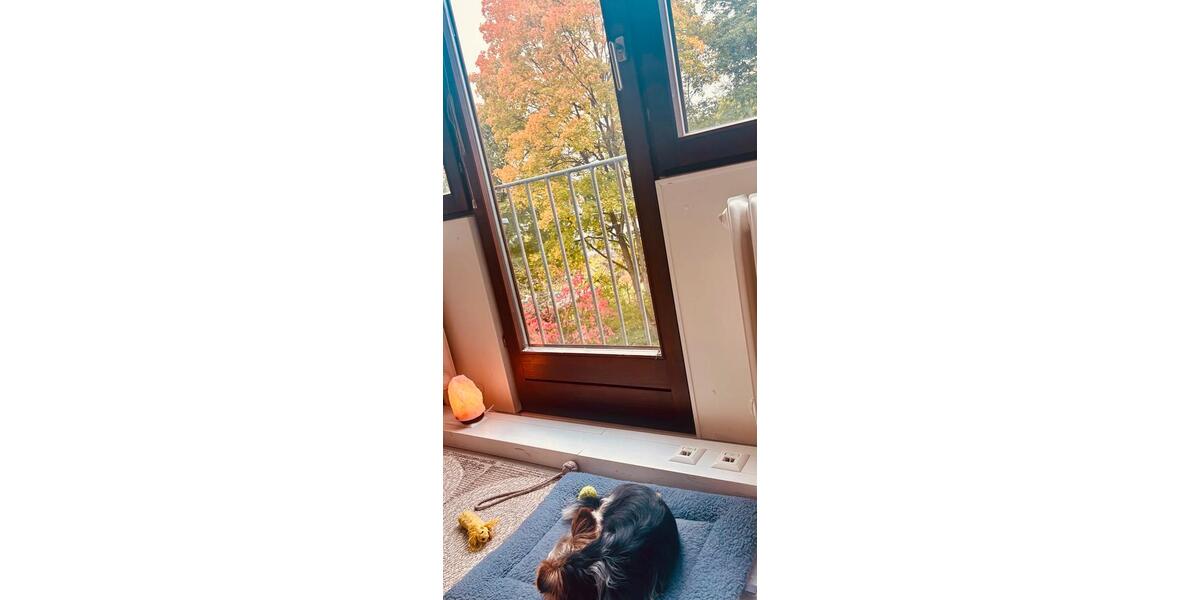 Praxisraum coaching Psychotherapie zimmer