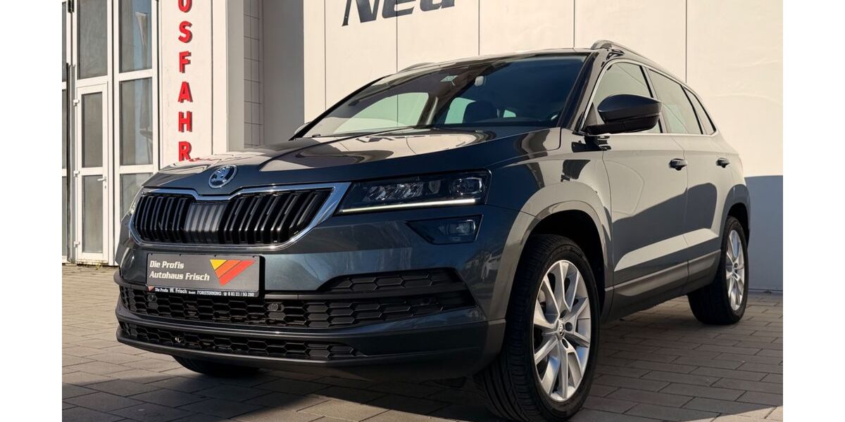 Skoda Karoq 91.000 km 21.690 &euro; Forstinning bei München 85661