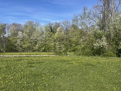 INVESTMENT IN IHRE ZUKUNFT- KAUFEN SIE LAND - Grundstück Berg | Angebot:27082332
