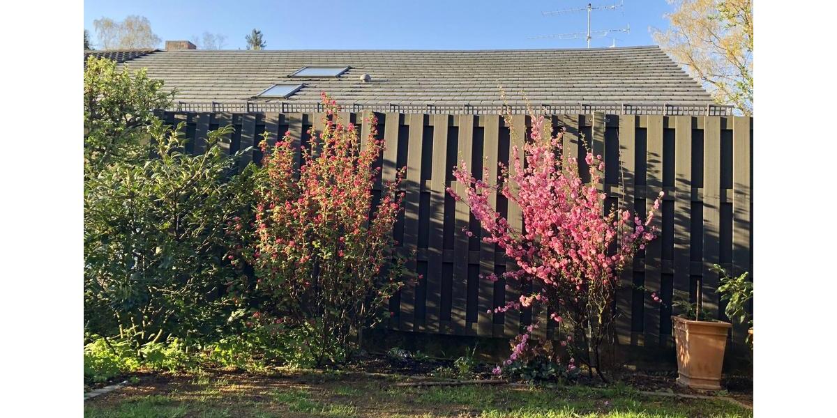 Grosszügiges topgepflegtes Reihenhaus in Baldham-Waldkolonie 5 zimmer