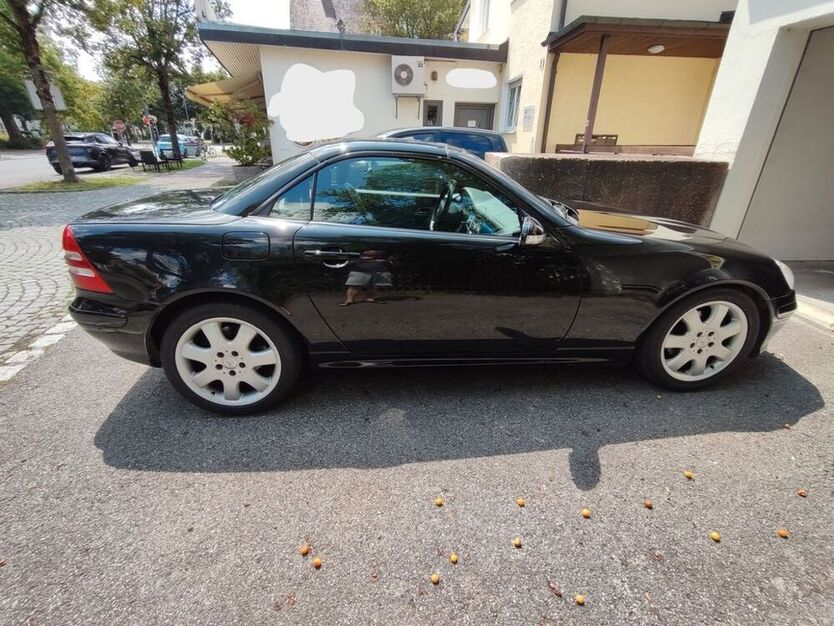 SLK 230